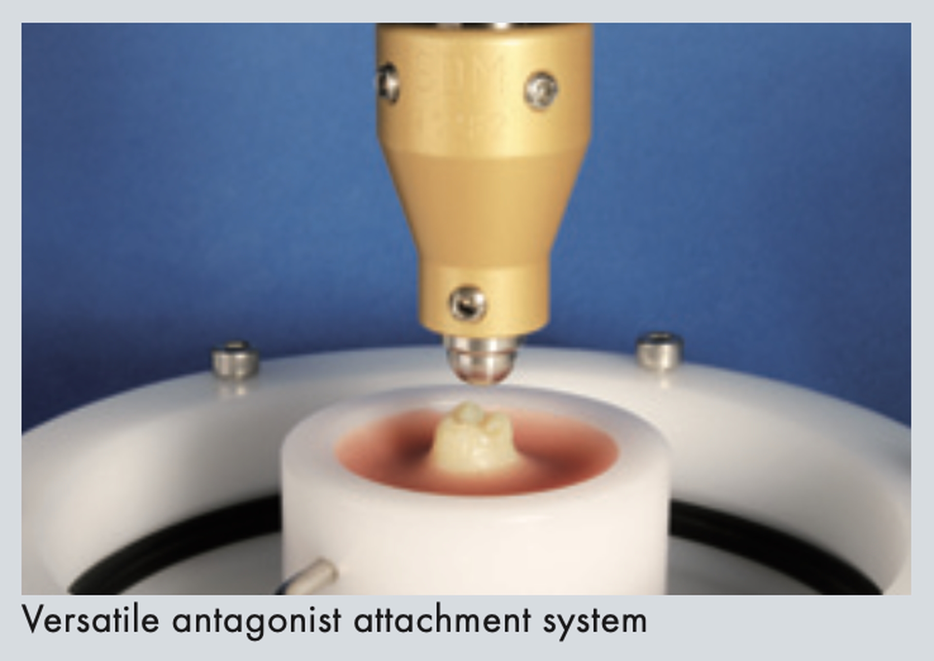 Versatile antagonist attachment system for simulating occlusal contact in chewing tests.